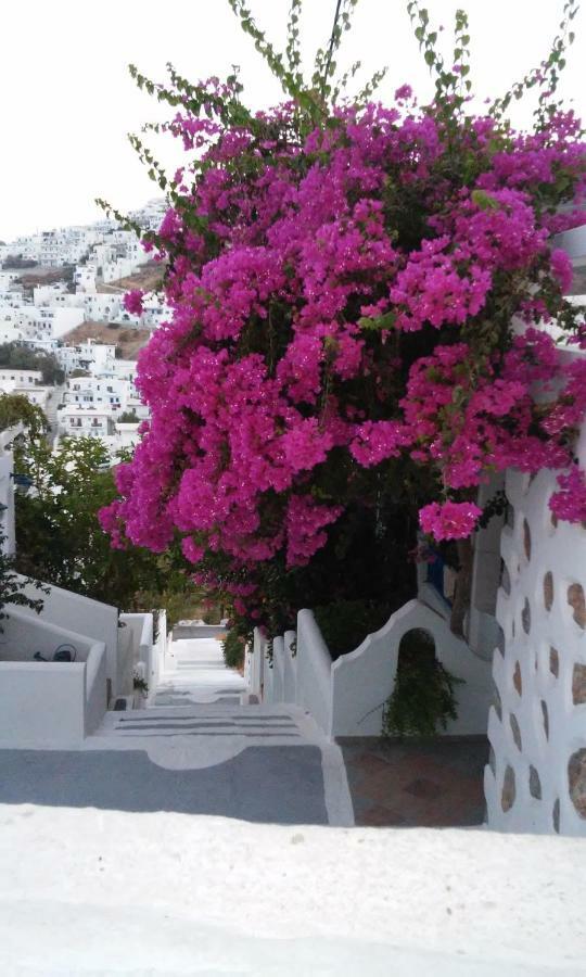 Butterfly View House Apartment Astypalaia Exterior photo