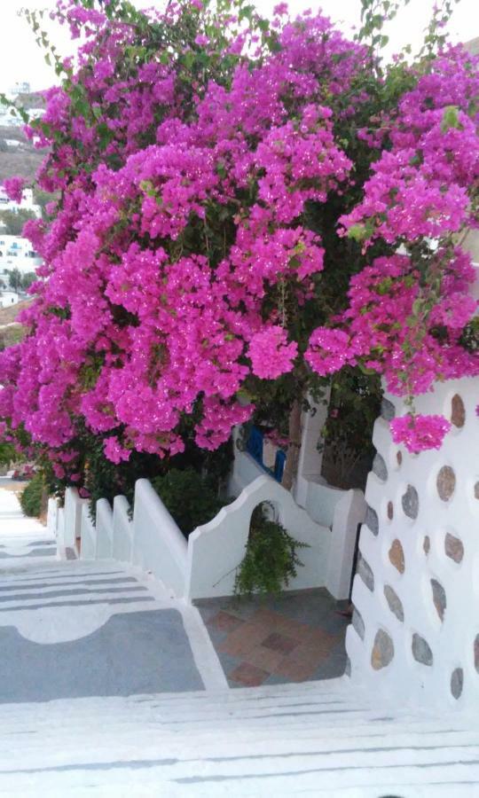 Butterfly View House Apartment Astypalaia Exterior photo